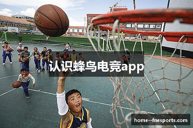 认识蜂鸟电竞app